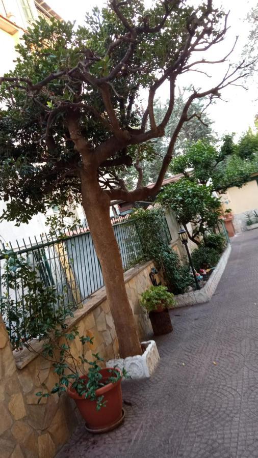 ローマCasa Dianaアパートメント エクステリア 写真